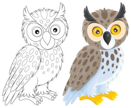 Owl Stock Illustration
