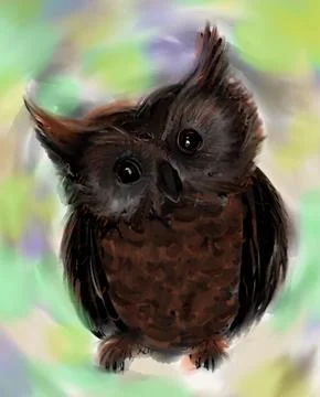 Owl Stock Illustration