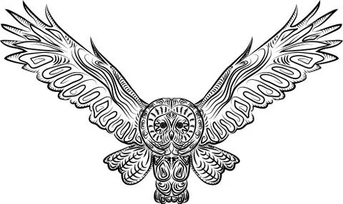 Owl Stock Illustration