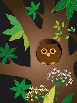 Owl Stock Illustration