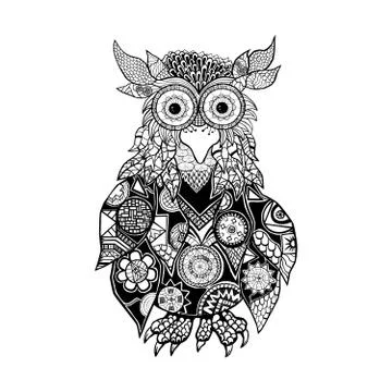 Owl Stock Illustration