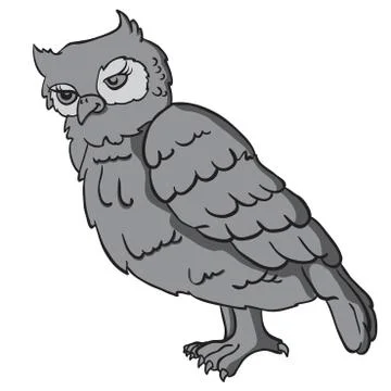 Owl Stock Illustration