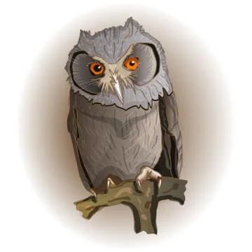 Owl Stock Illustration