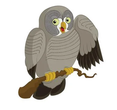 Owl Stock Illustration