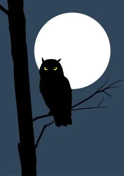 Owl Stock Illustration