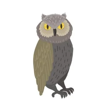Owl isolated on white background. Vector illustration Stock Illustration