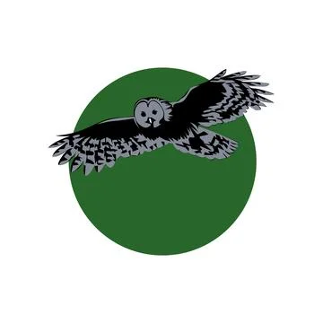 Owl logo Stock Illustration