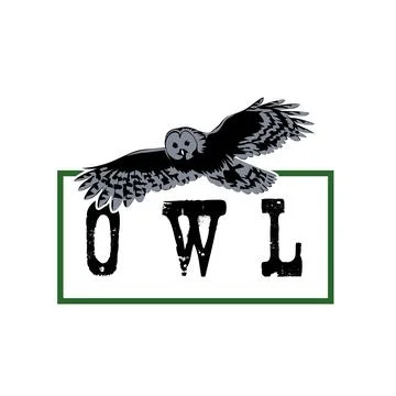 Owl logo Stock Illustration