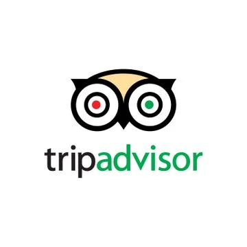 Owl Logo vector. web icon - Portal with hotel travel reviews from adviser 스톡 일러스트