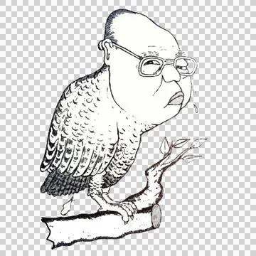 Owl Man Stock Illustration