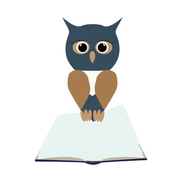 Owl on open empty book. Isolated owl character flat design Jpeg illustration Stock Illustration