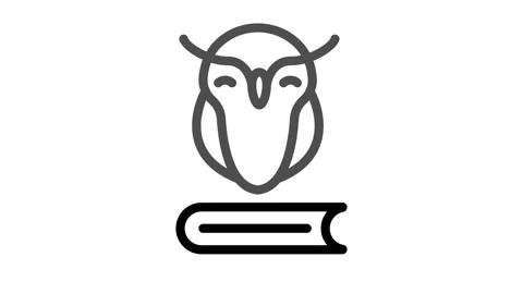 A owl perched on an open book, showcasing its vibrant feathers against the .. Stock Footage 334998333