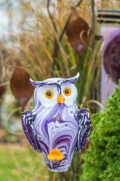 Owl Stock Photos