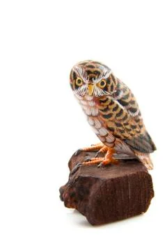 The owl Stock Photos