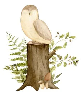 Owl with plants and stump in a forest. Hand drawn watercolor illustration of Stock Illustration