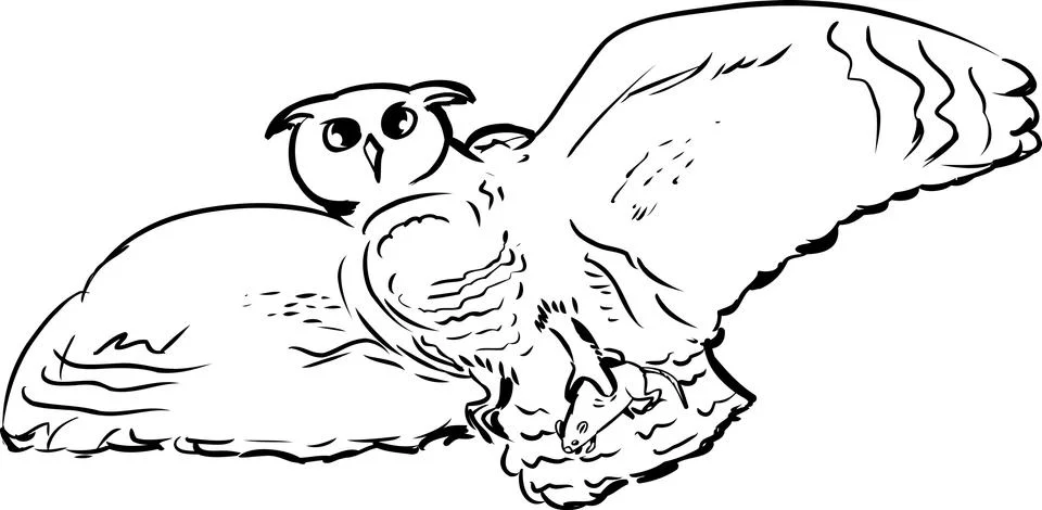 Owl with Prey Outline Stock Illustration