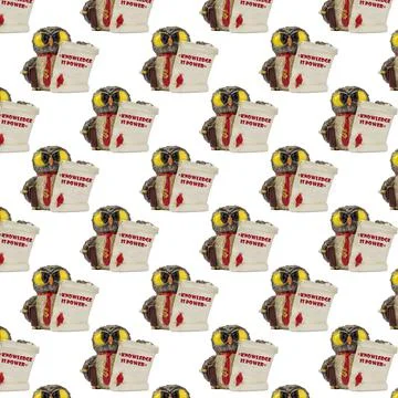 Owl seamless pattern on white. Stock Photos