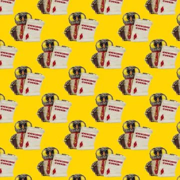 Owl seamless pattern on white. Stock Photos