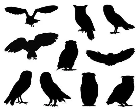 OWL SILHOUETTE VECTOR ART Stock Illustration