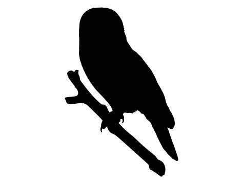 Owl silhouette vector art Stock Illustration