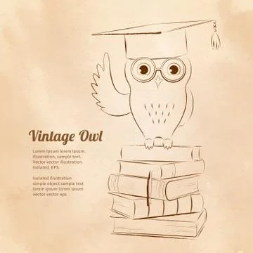 Owl sitting on books Stock Illustration