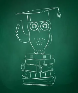 Owl sitting on books Stock Illustration