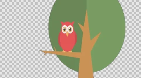 Owl Sitting on a Tree Animation Stock Footage 56725110