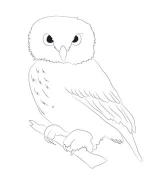 Owl stands drawing lines, vector Stock Illustration