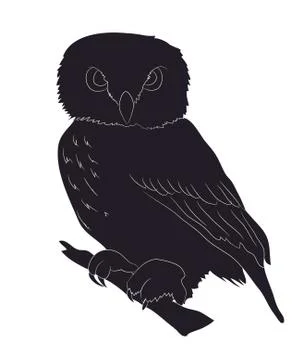 Owl stands drawing silhouette, vector Stock-Illustration