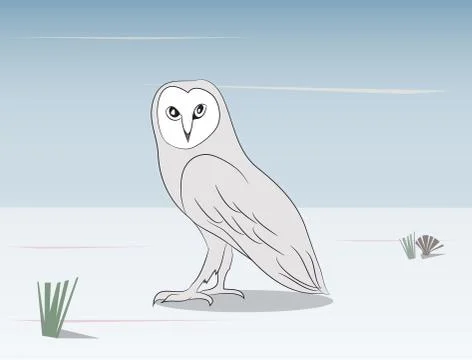 An owl stands in the nature Illustrazione stock