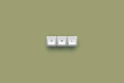 Owl text on a 3d keyboard button with shadow concept series イラスト素材