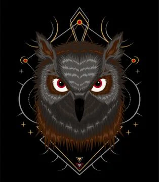 Owl vector. Illustration of owl Stockillustratie