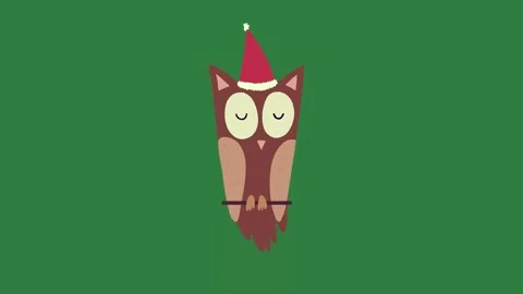 An owl wearing hat on sitting tree branch its head fox isolated isolated on Stock Footage 336890486