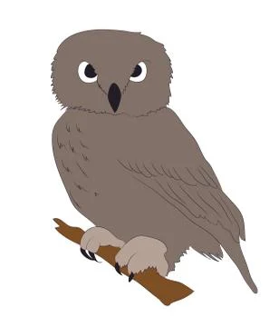 Owl is worth drawing, vector Stock Illustration