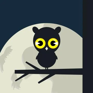 Owl3 写真素材