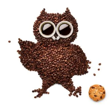 Owlet with cookie. Фото