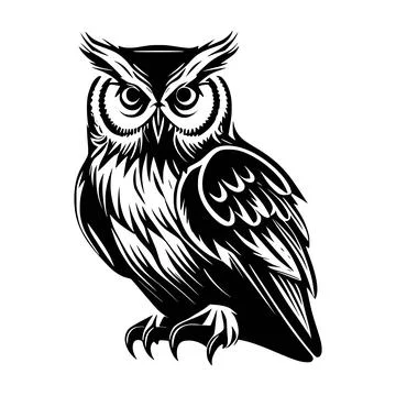 Owl.isolated on white background. Vector illustration Stock Illustration
