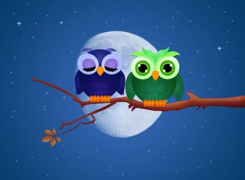 Owls on branches in the moonlight Stock Illustration