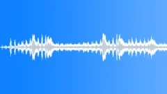 Owls Night Ambience Sound Effect