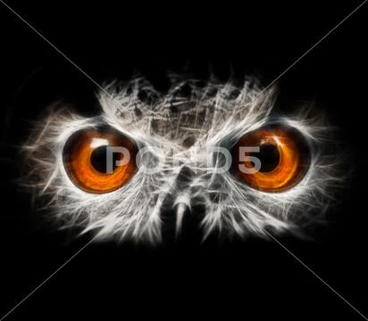 Owls Portrait. owl eyes - abstract painting, fractal Stock Photos