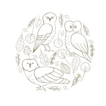 Owls  set. Vector  illustration. Stock Illustration