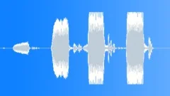 OwlsSound Effect