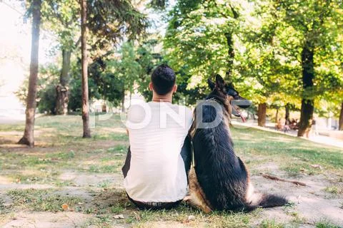 Owner and the dog in the park Stock Photos