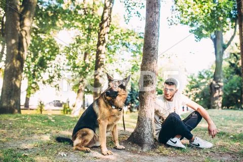 Owner and the dog in the park Stock Photos