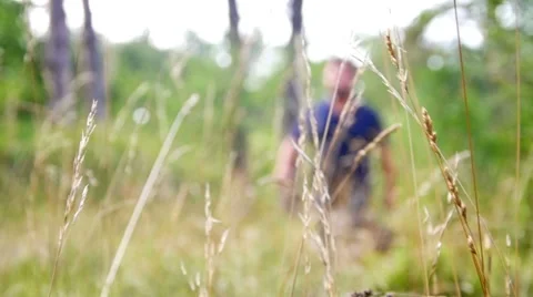 Owner and german shepherd walking in the fields in the background medium shot2 Stock Footage 59966261