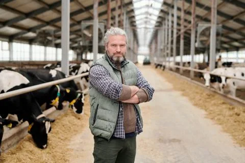 Owner of dairy farm Stock Photos