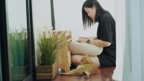 Owner during read book and take coffee break and play with cat in livingroom Stock Footage 270131152