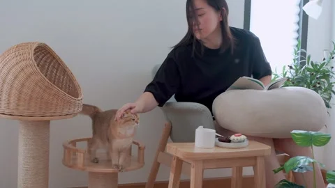Owner during read book and take coffee break and play with cat in livingroom Stock Footage 270131656