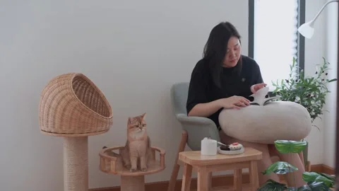 Owner during read book and take coffee break and play with cat in livingroom Stock Footage 274251948