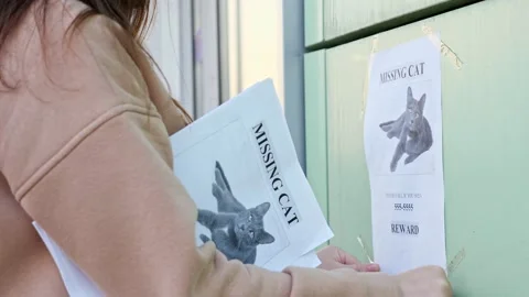 Owner in hoodie hangs posters of missing cat on building Stock Footage 161826480